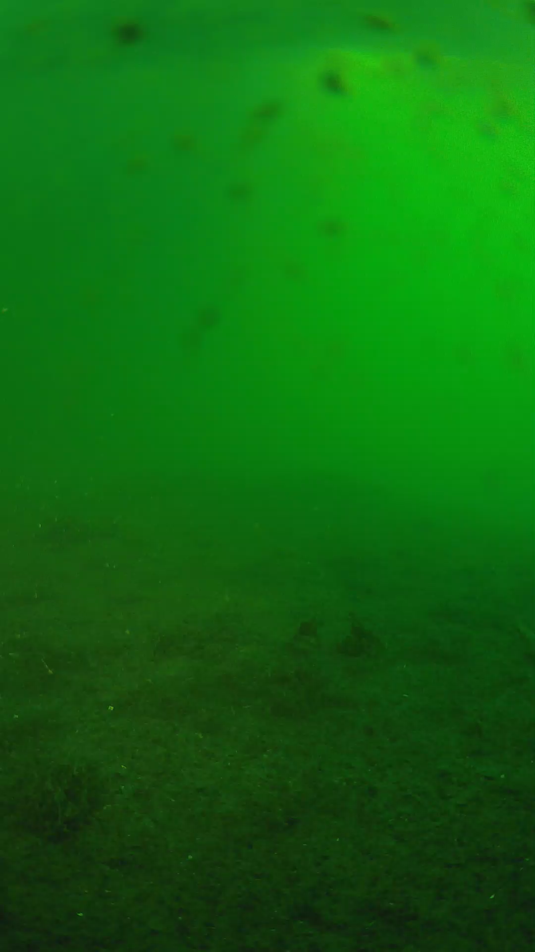lander_ipcam_20240623053542.png