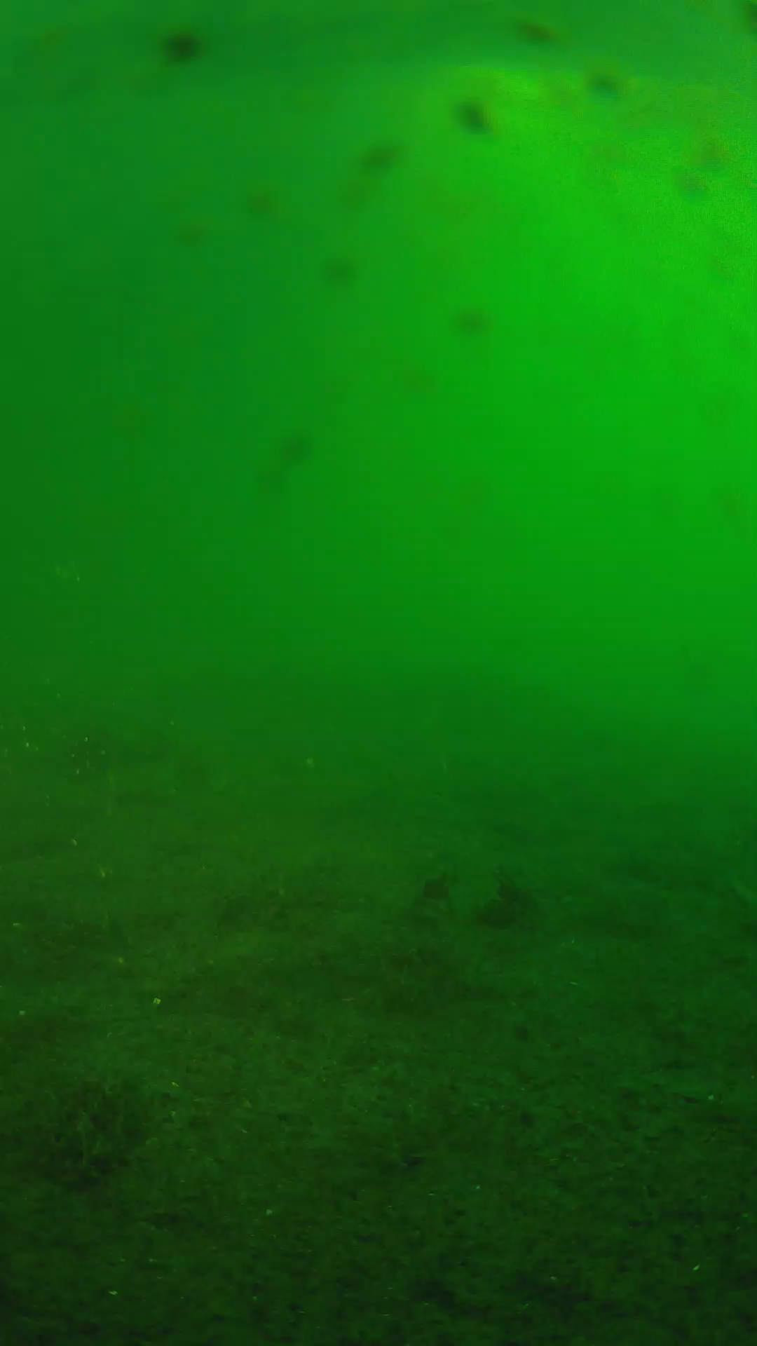 lander_ipcam_20240623053548.png