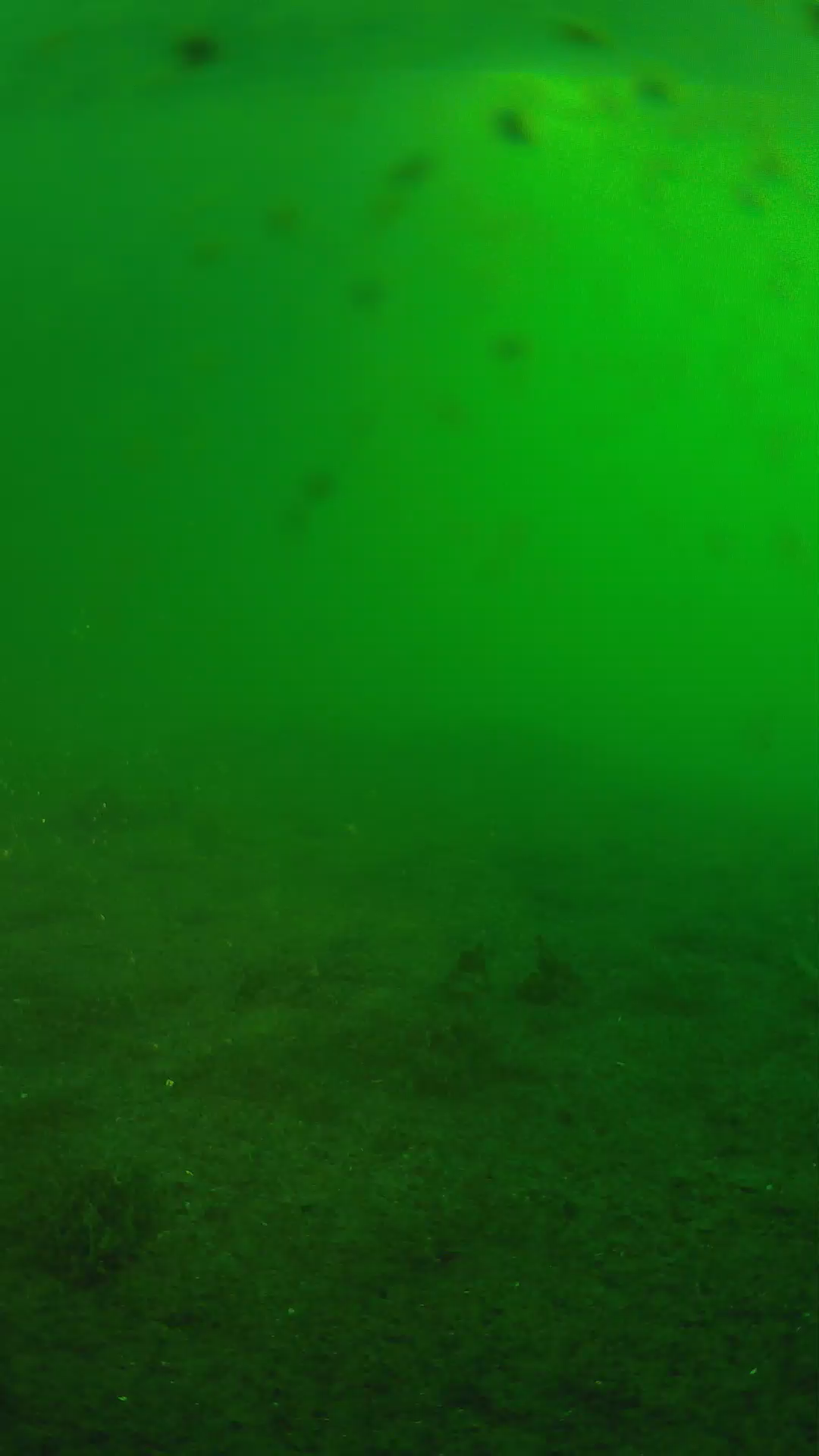lander_ipcam_20240623053549.png