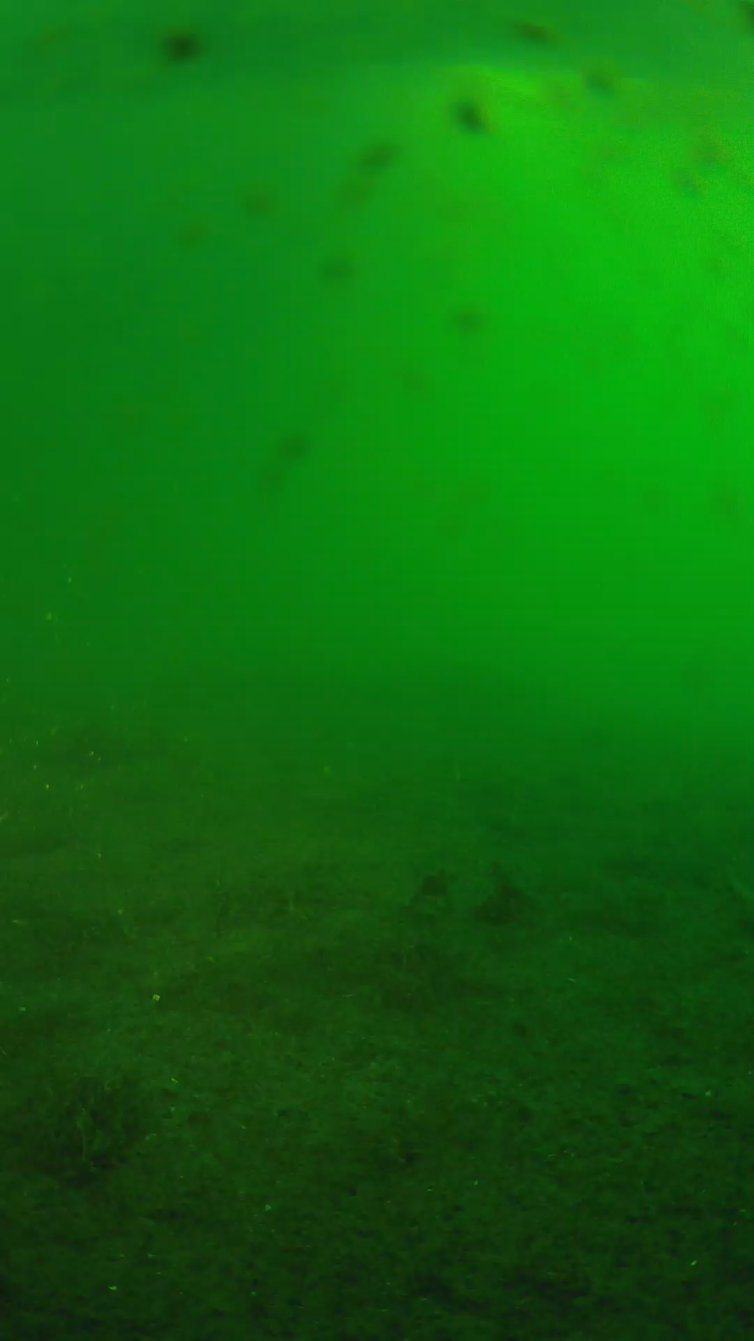 lander_ipcam_20240623053551.png