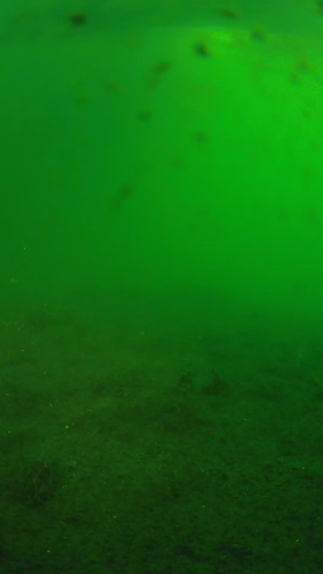 lander_ipcam_20240623053553.png