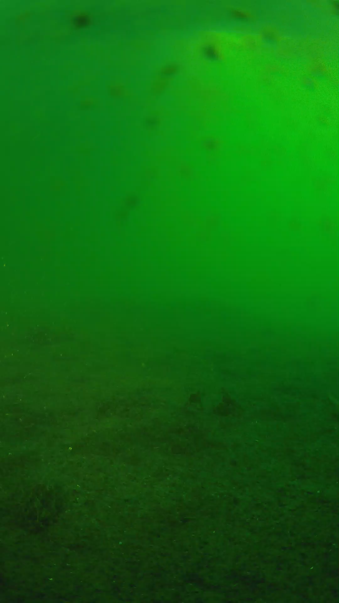 lander_ipcam_20240623053559.png