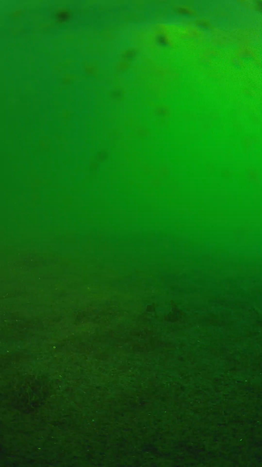 lander_ipcam_20240623053601.png