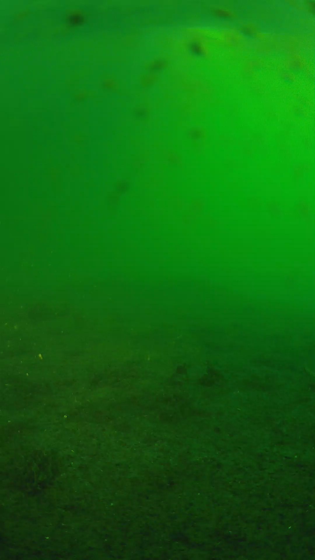 lander_ipcam_20240623053604.png