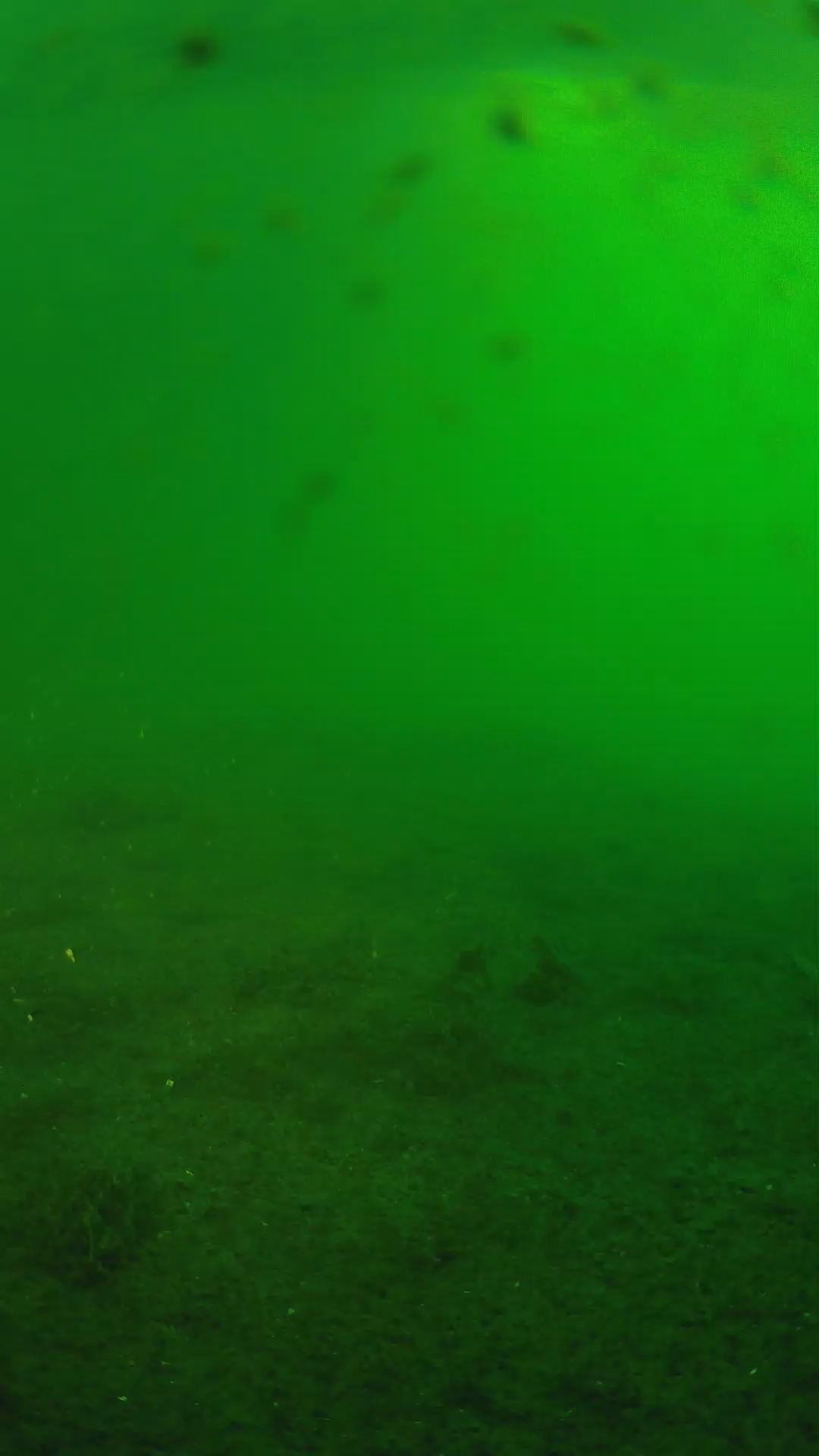 lander_ipcam_20240623053607.png