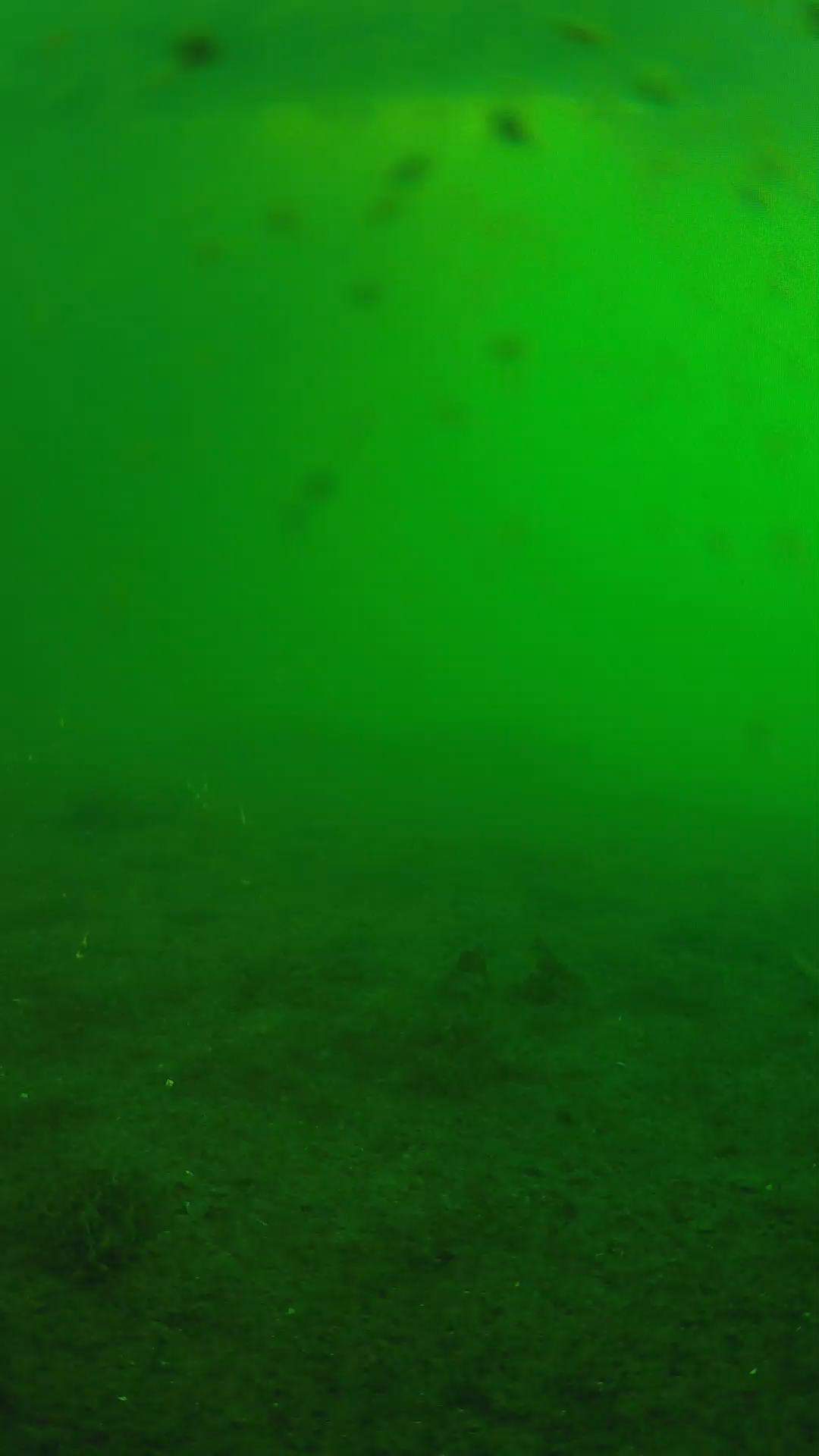 lander_ipcam_20240623060540.png