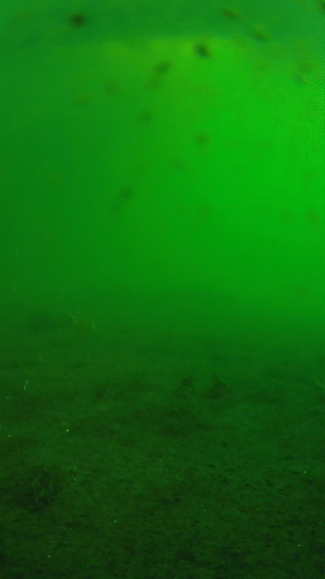 lander_ipcam_20240623060541.png