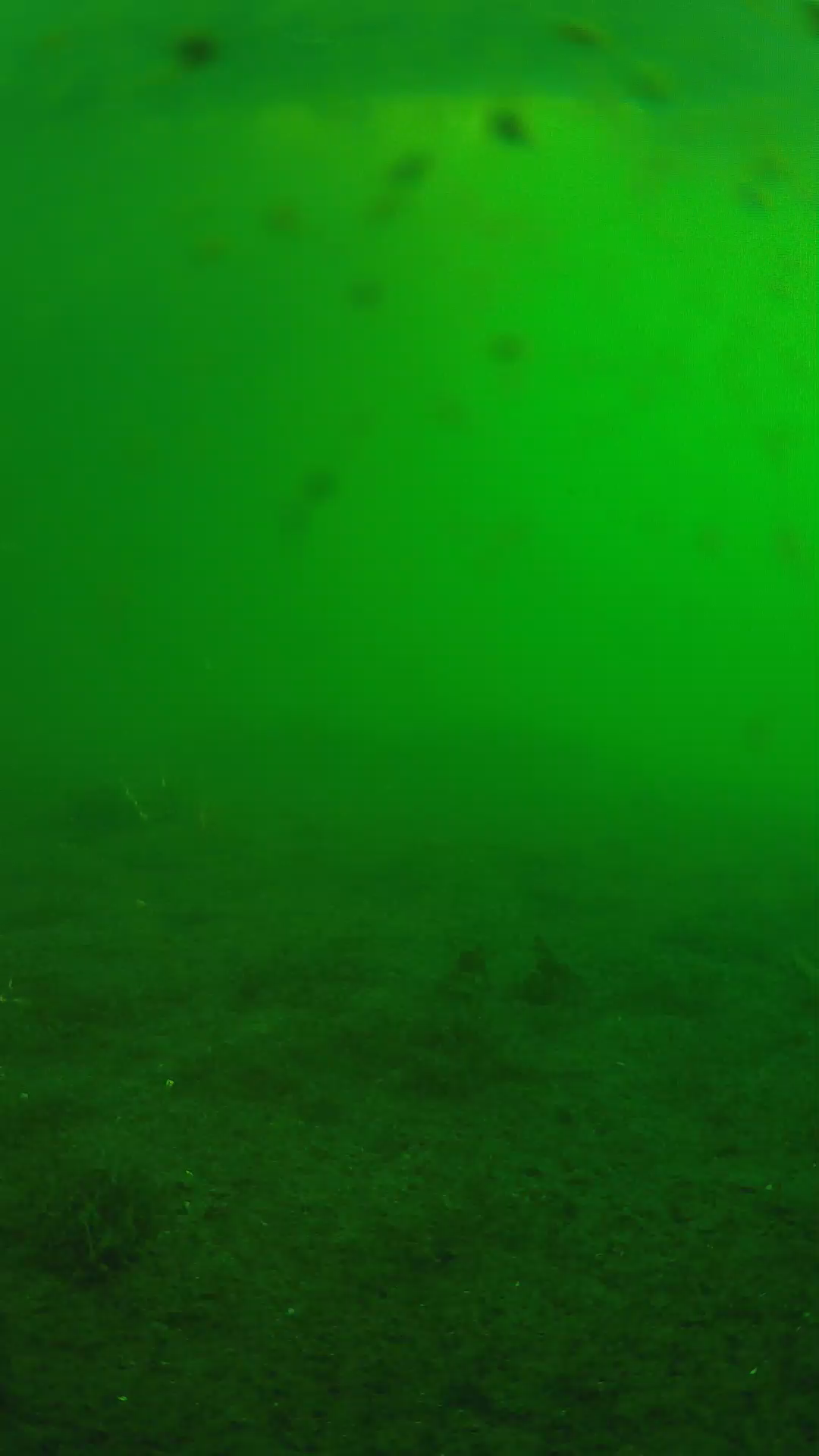 lander_ipcam_20240623060543.png