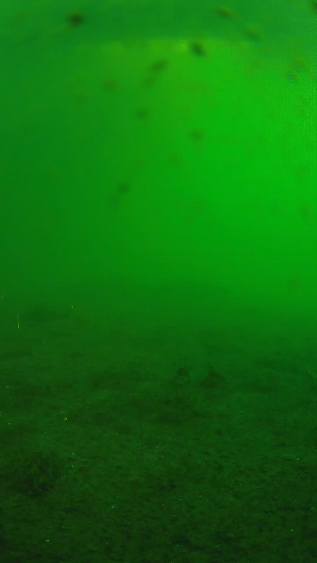 lander_ipcam_20240623060553.png