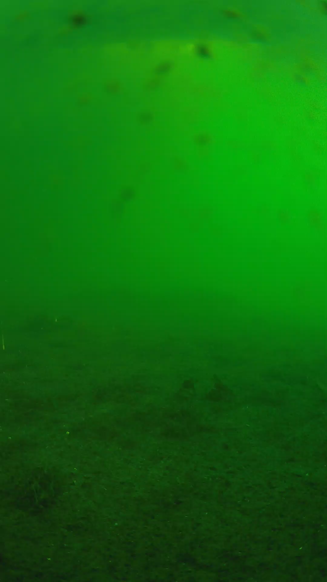 lander_ipcam_20240623060559.png