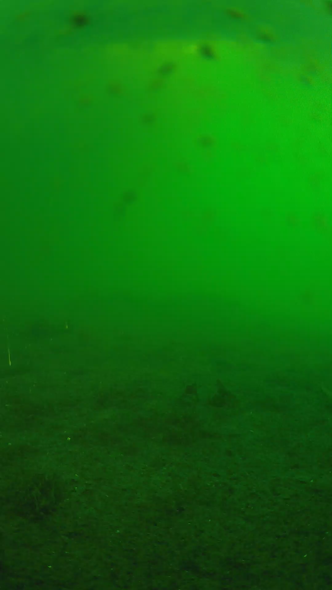 lander_ipcam_20240623060604.png