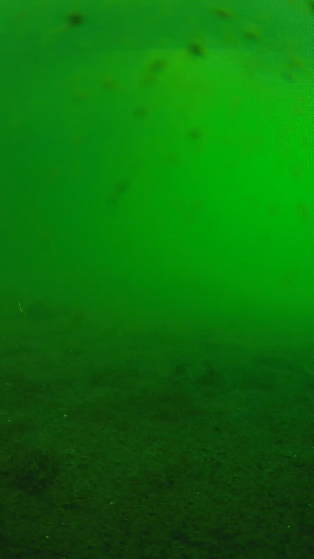 lander_ipcam_20240623063545.png