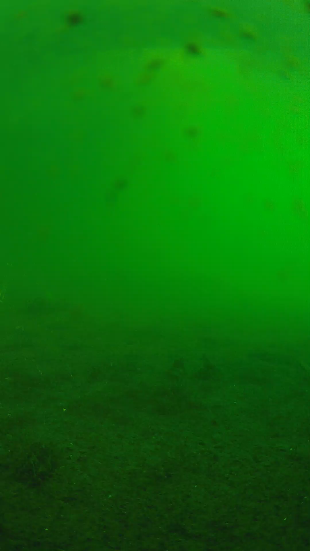 lander_ipcam_20240623063606.png