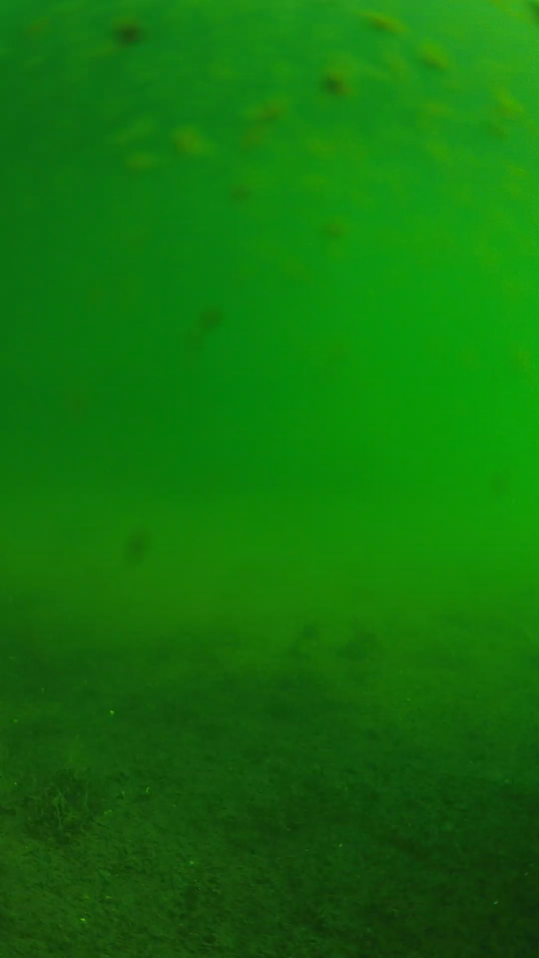 lander_ipcam_20240623080558.png