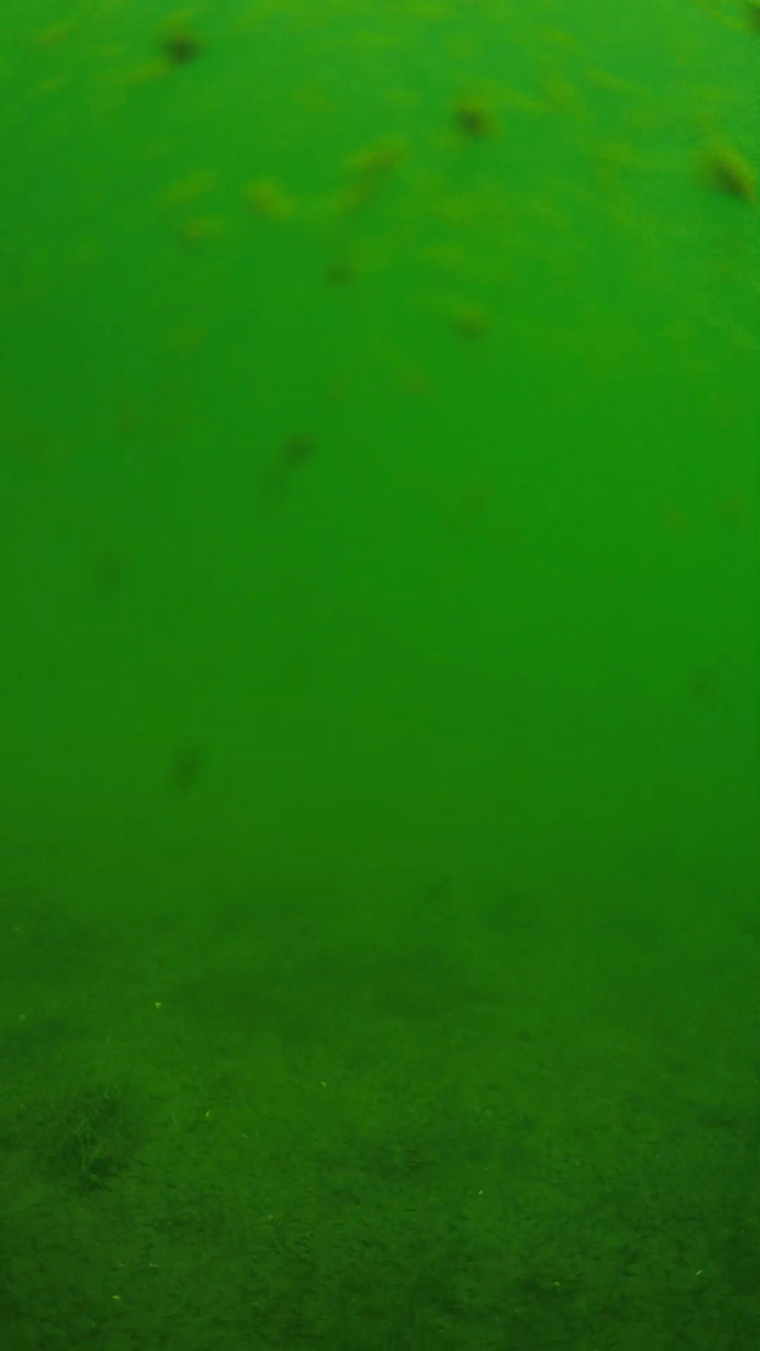 lander_ipcam_20240623103541.png