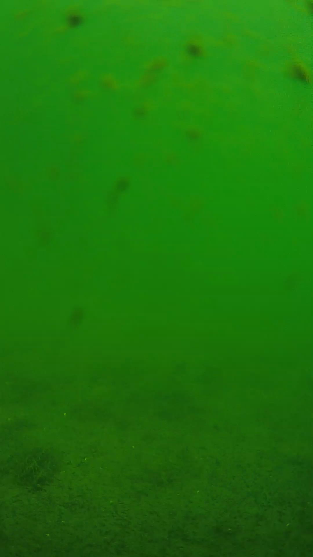 lander_ipcam_20240623103551.png