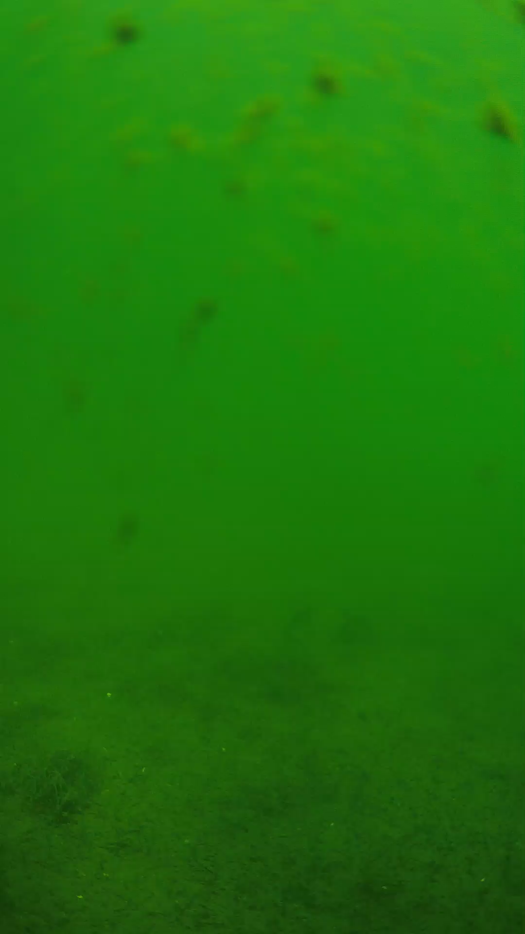 lander_ipcam_20240623103604.png
