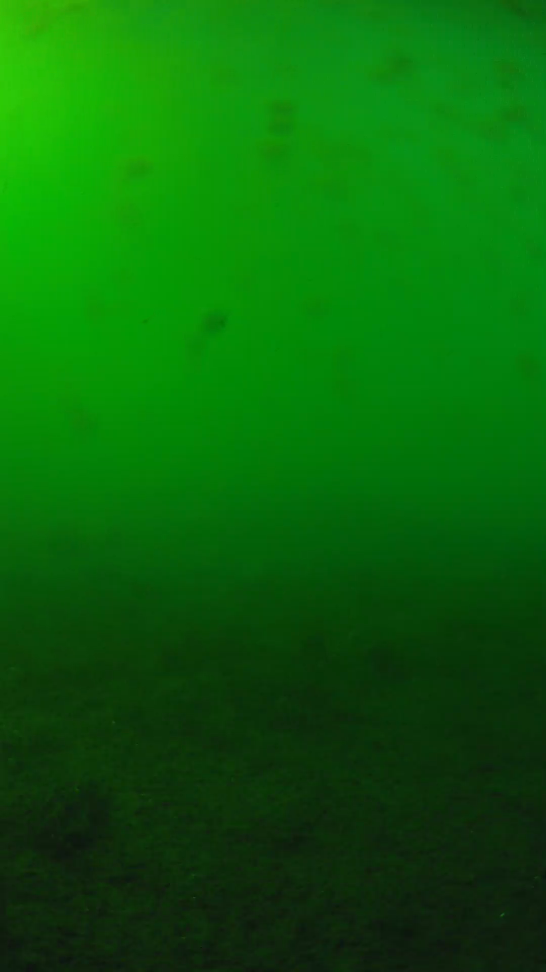 lander_ipcam_20240623160540.png