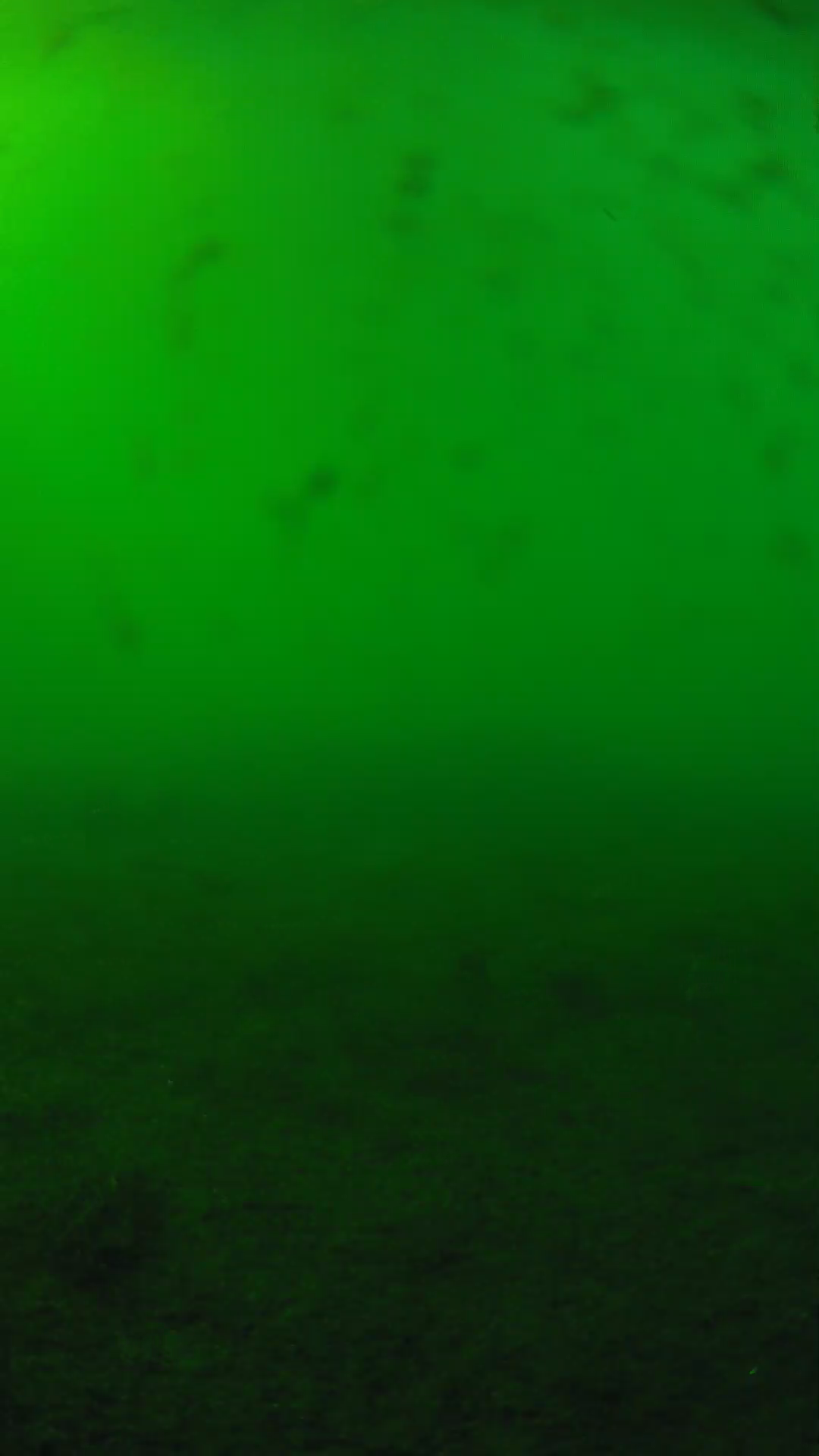 lander_ipcam_20240623163539.png
