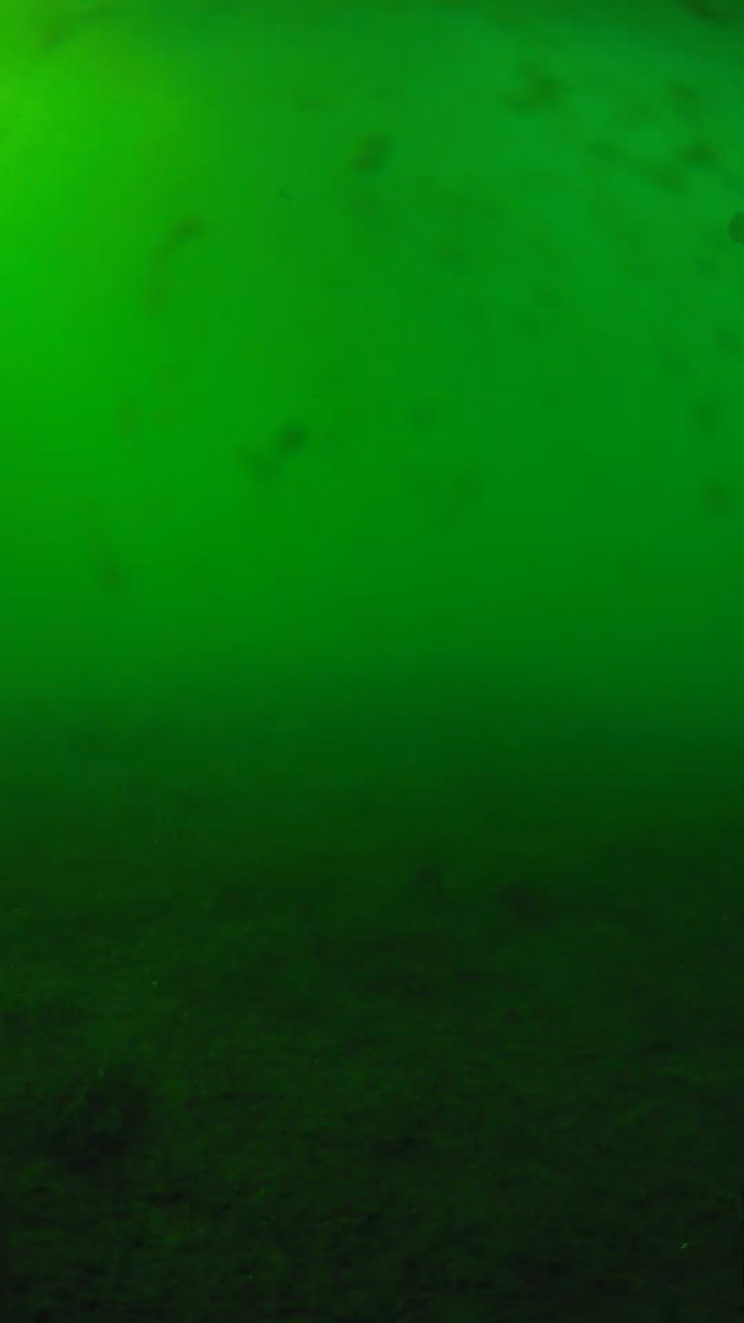 lander_ipcam_20240623163542.png