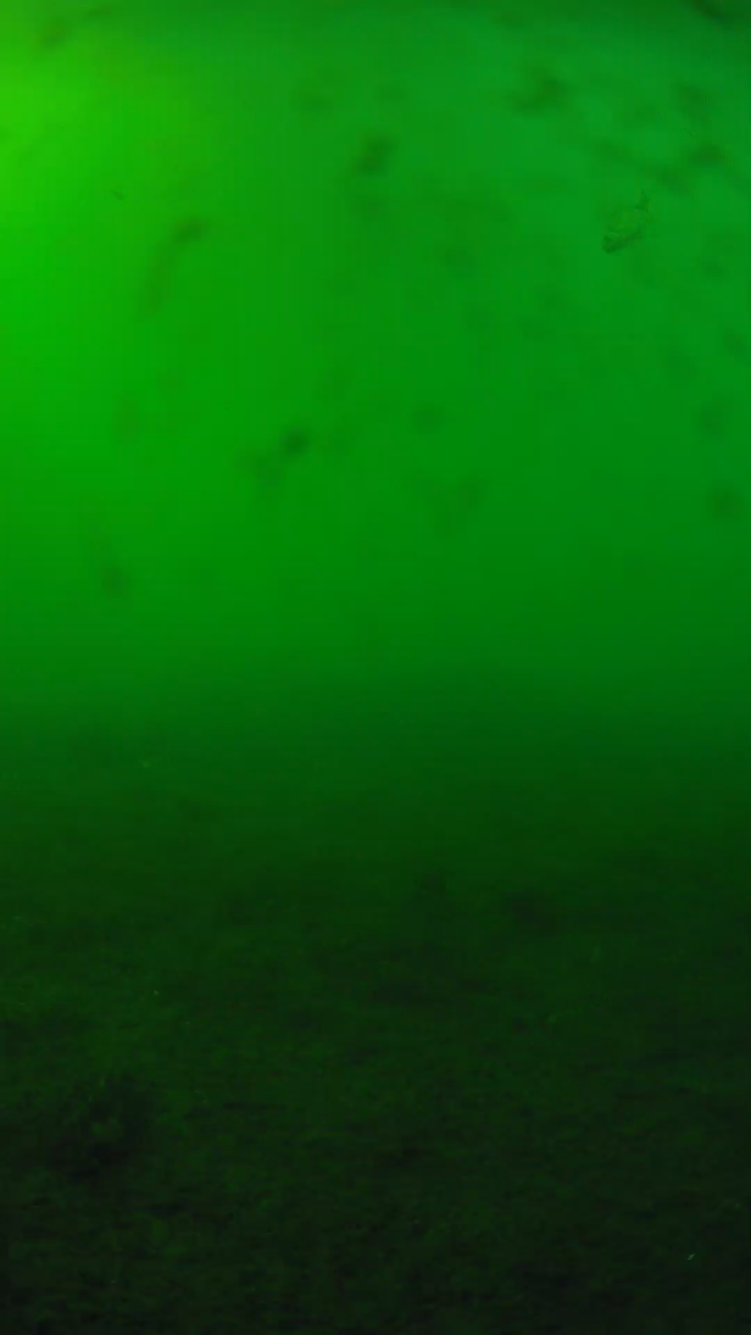 lander_ipcam_20240623163544.png