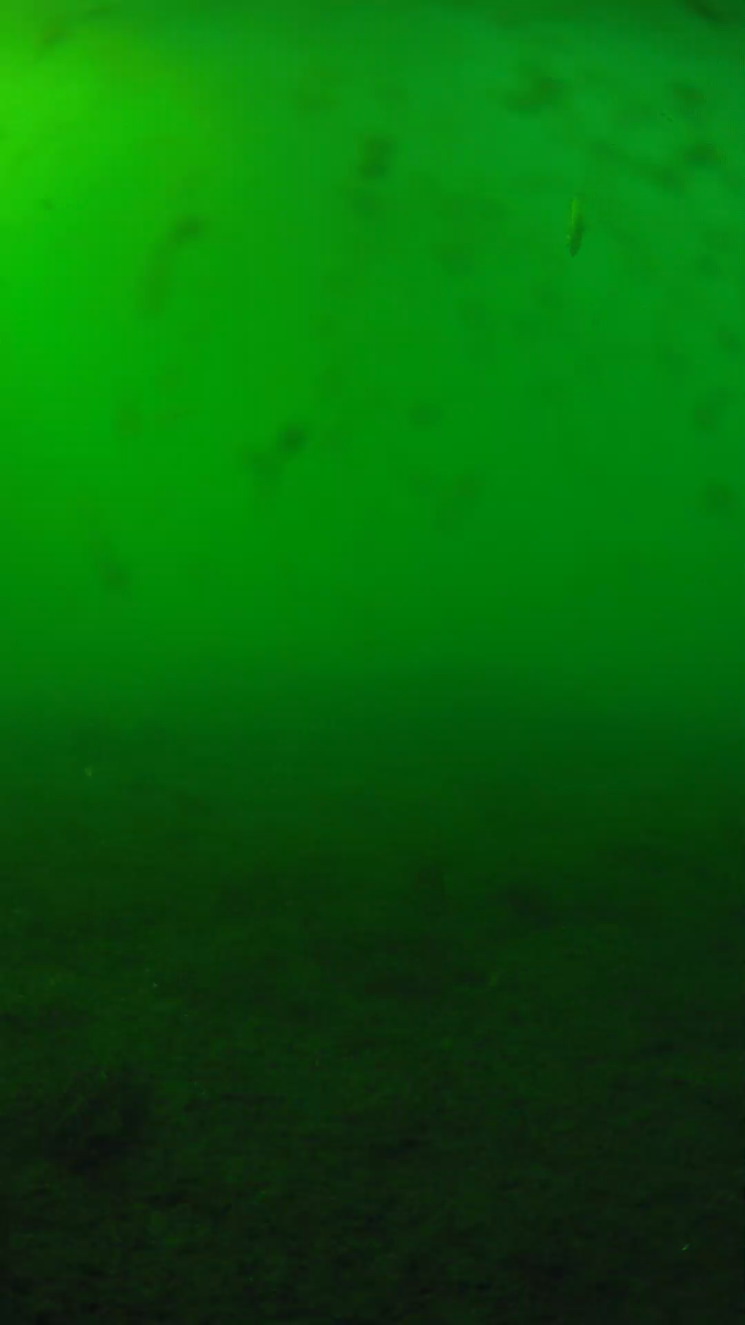 lander_ipcam_20240623163545.png
