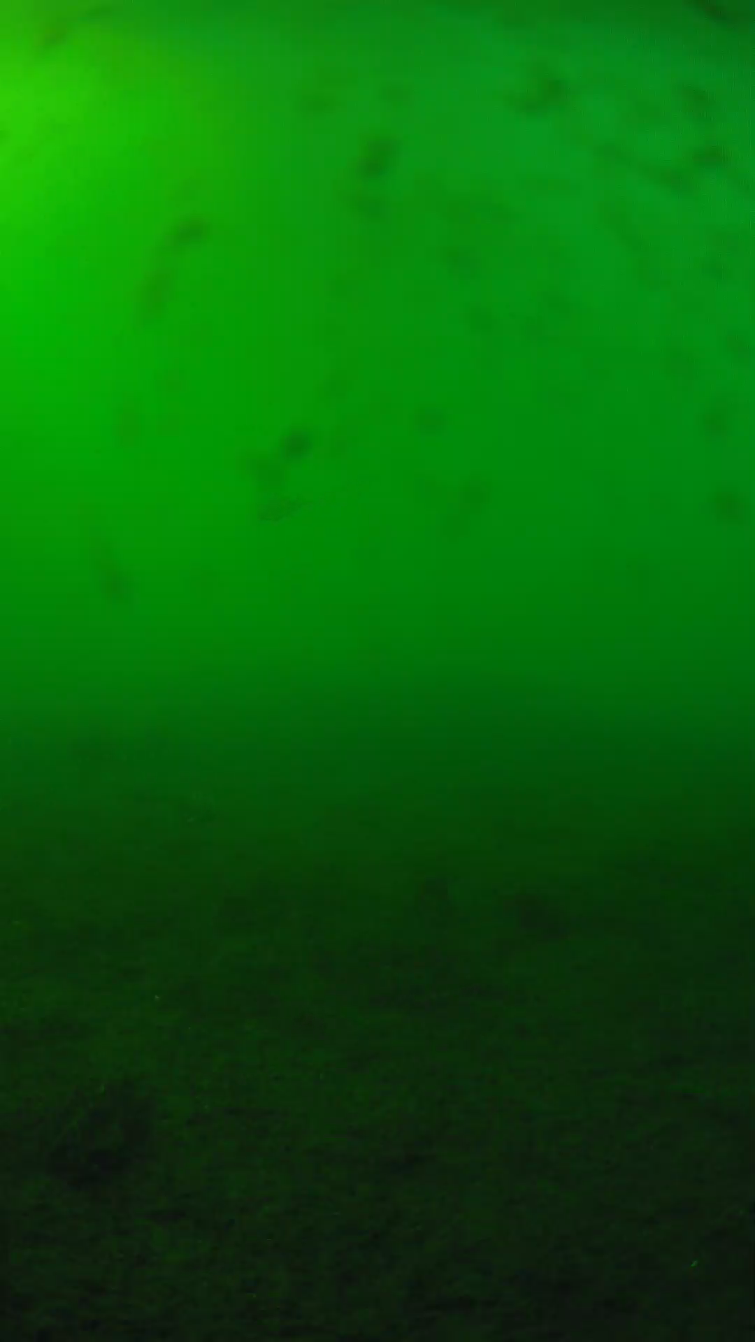 lander_ipcam_20240623163547.png