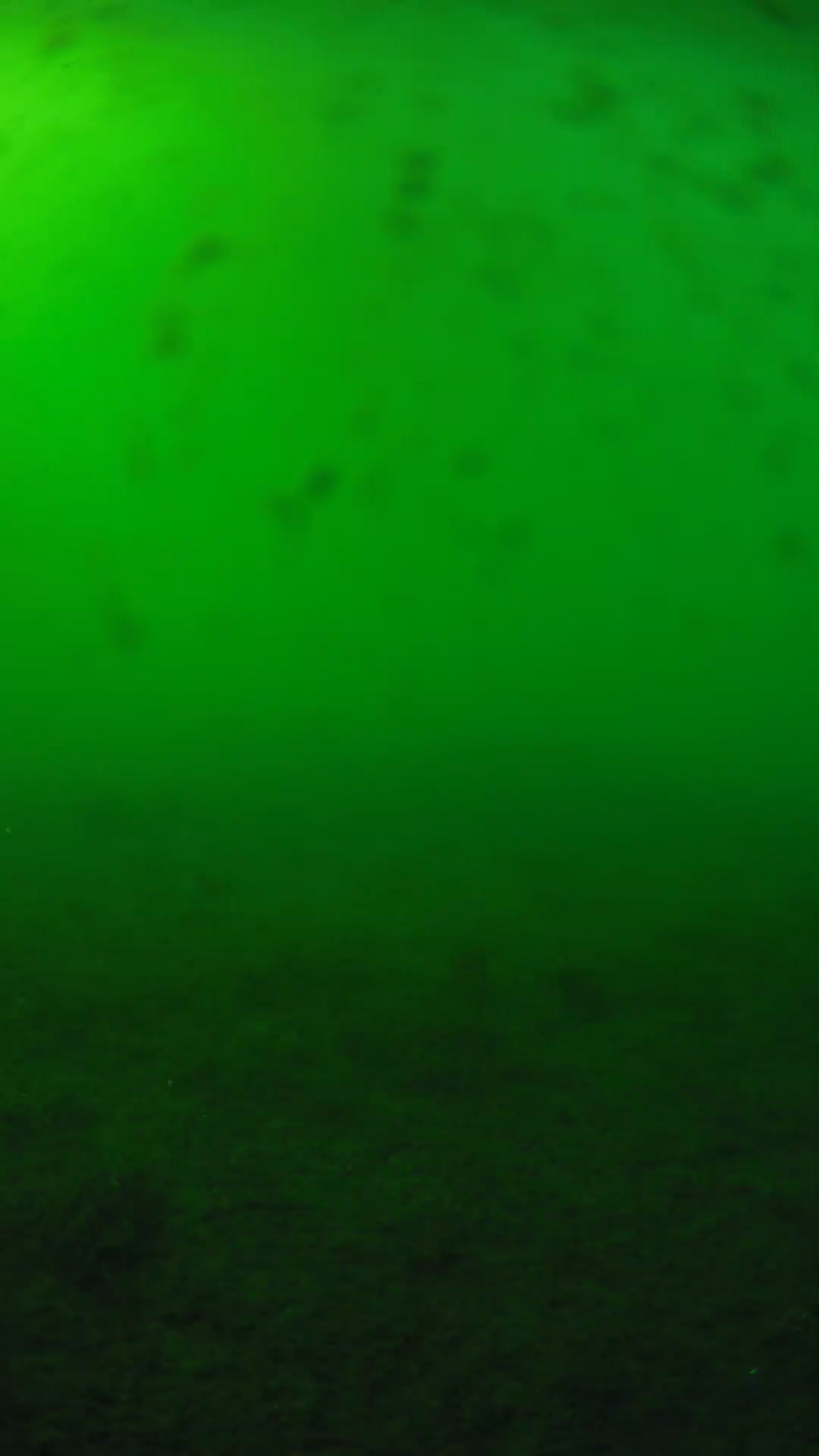 lander_ipcam_20240623163602.png