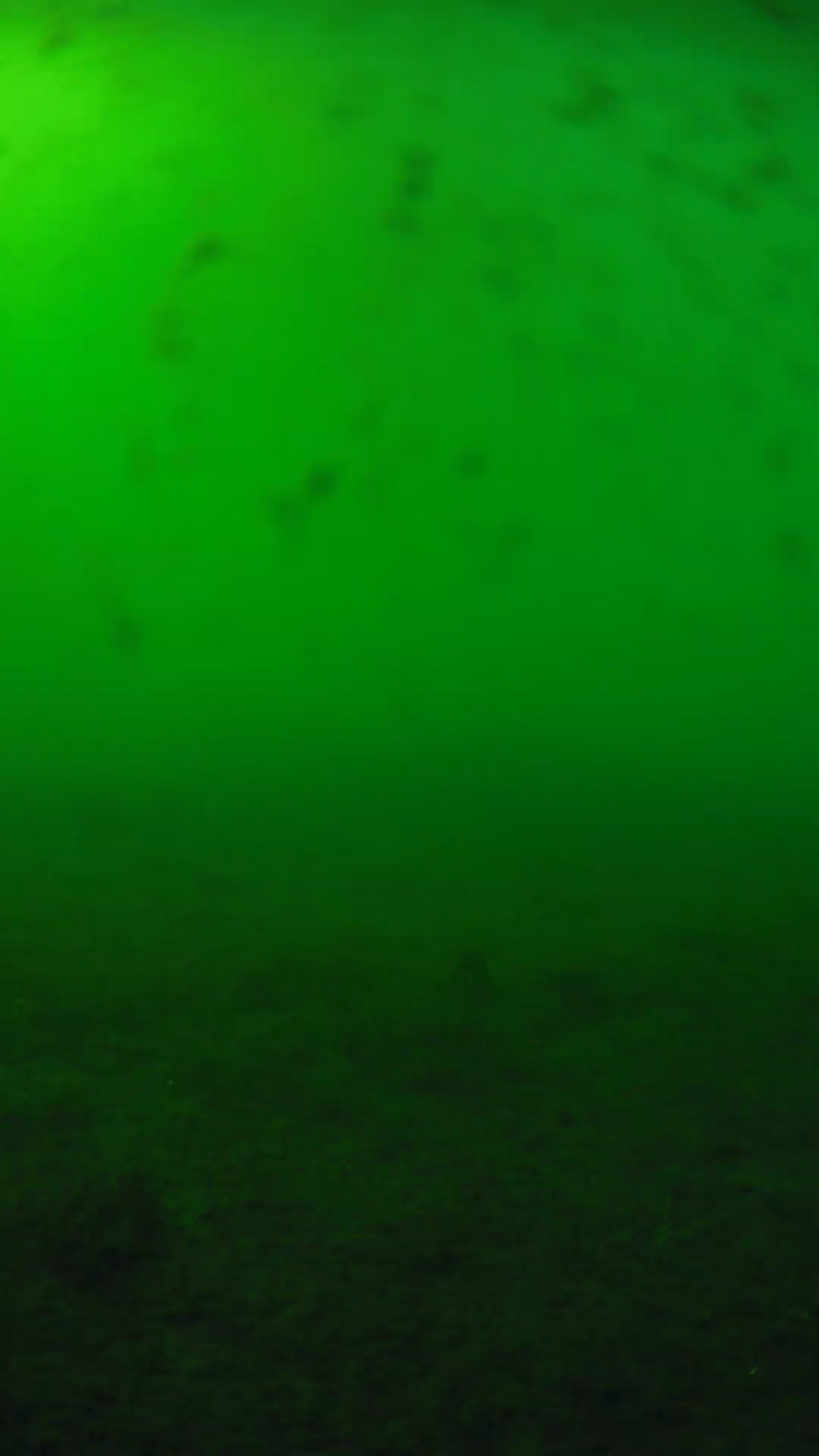 lander_ipcam_20240623163605.png