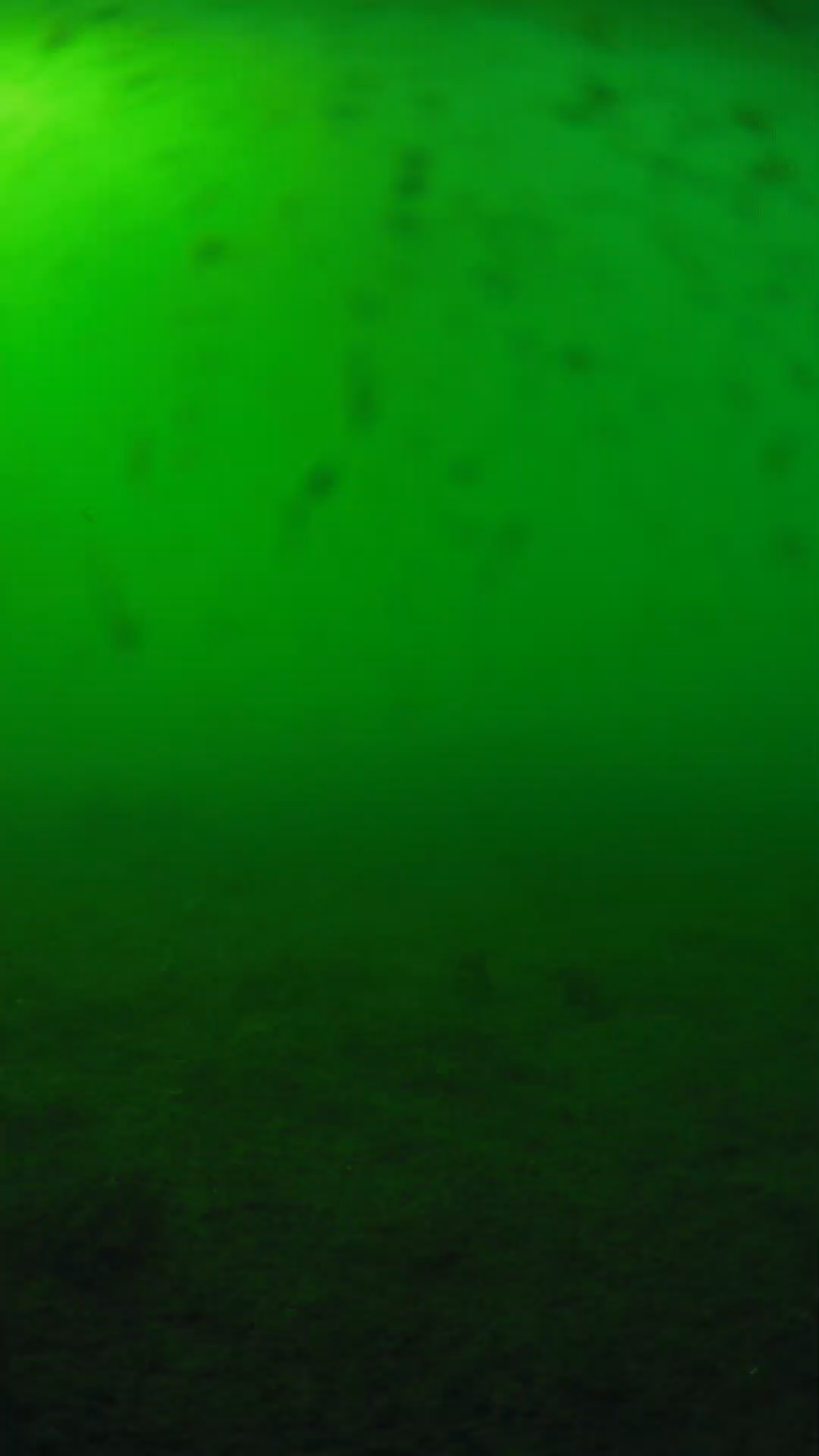 lander_ipcam_20240623170539.png