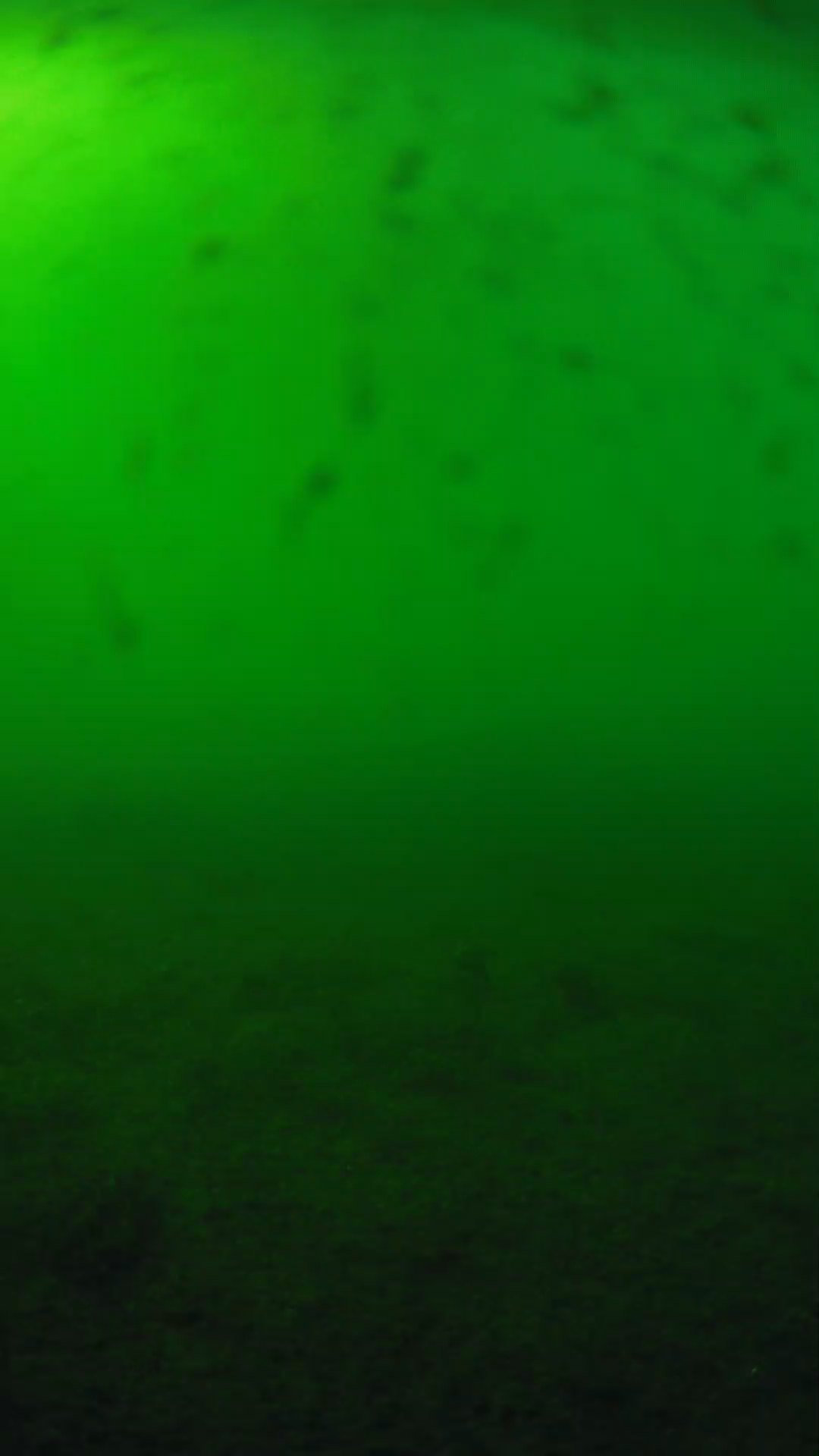 lander_ipcam_20240623170541.png