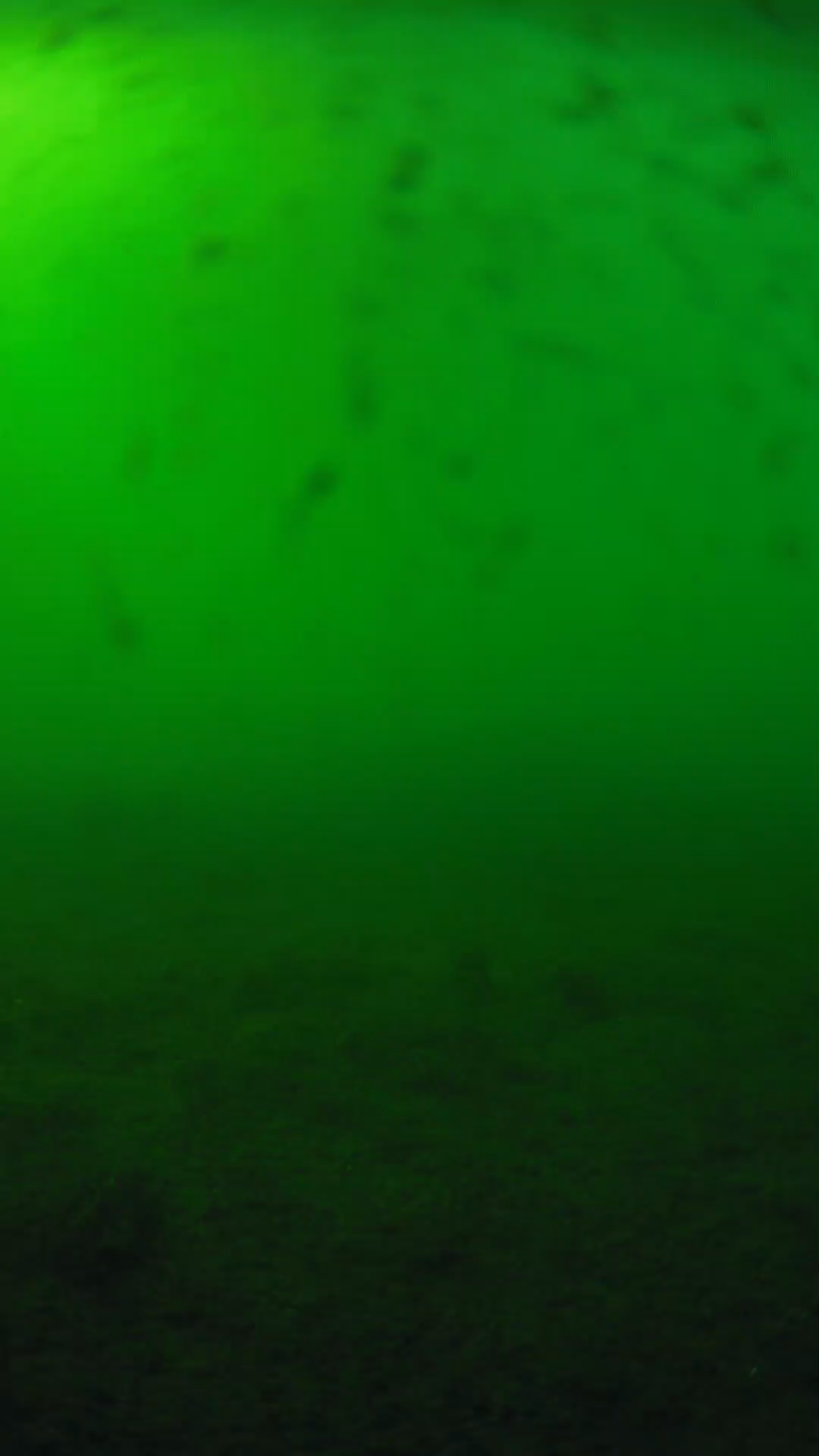 lander_ipcam_20240623170542.png