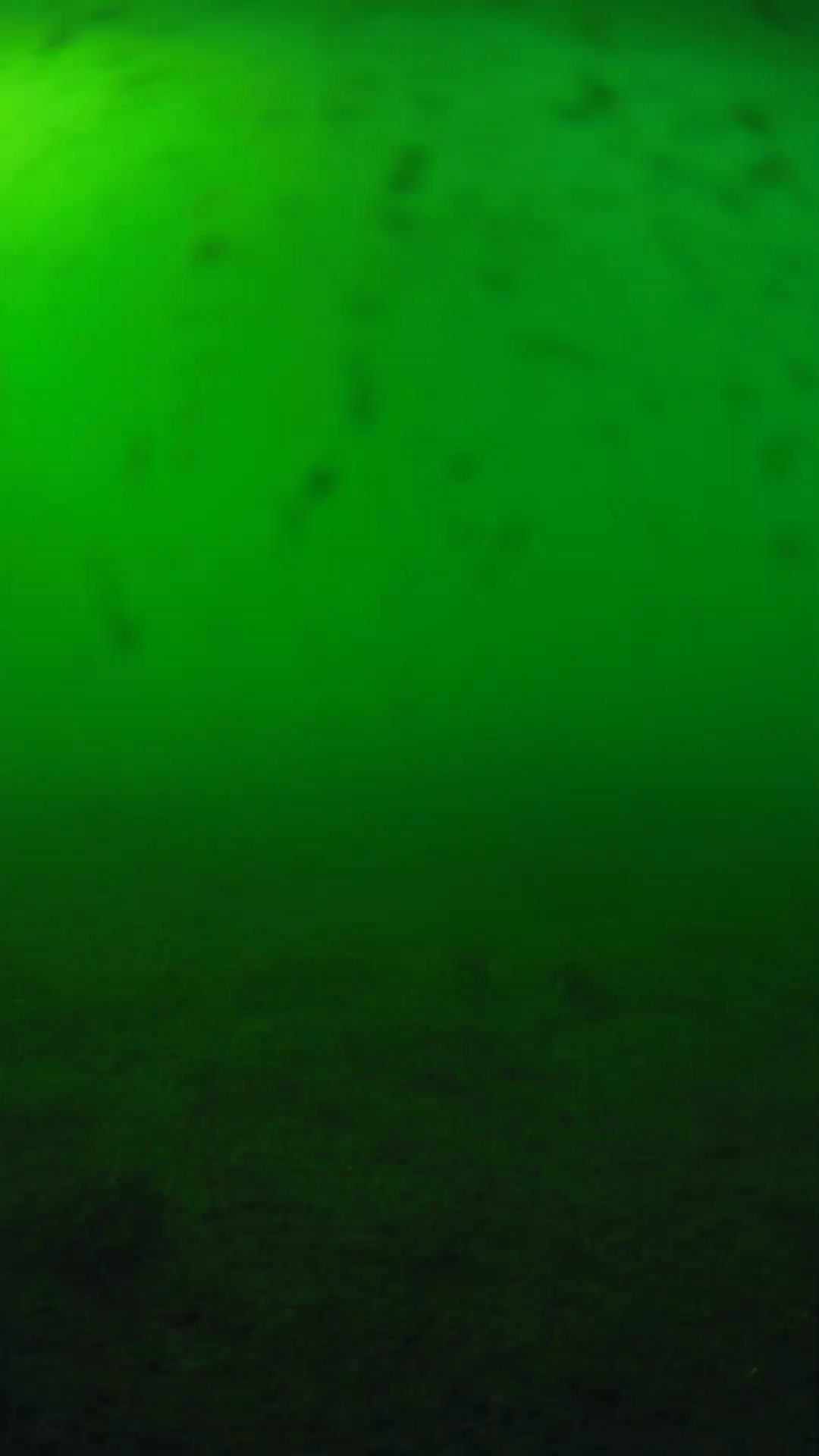 lander_ipcam_20240623170544.png