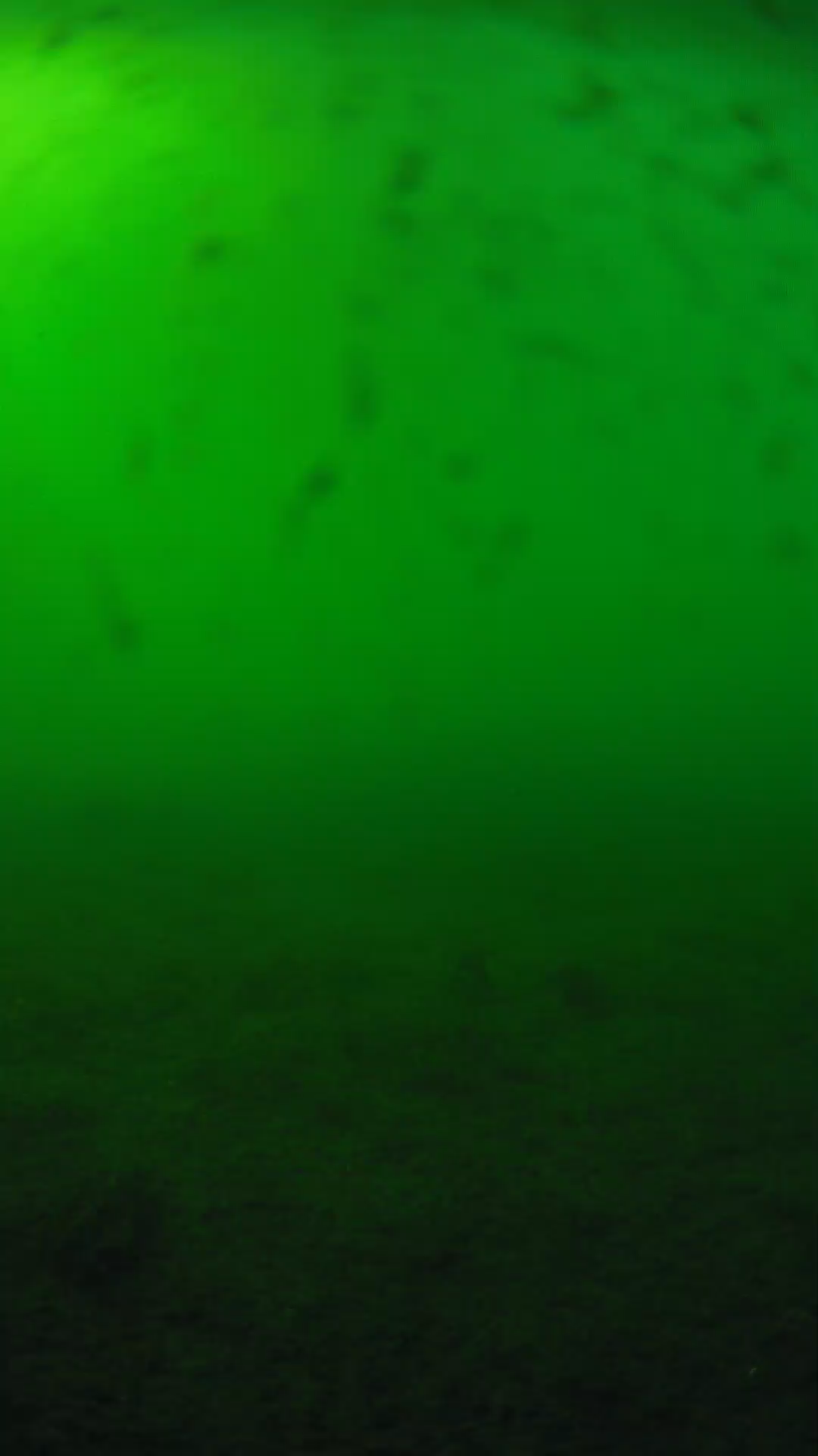 lander_ipcam_20240623170555.png