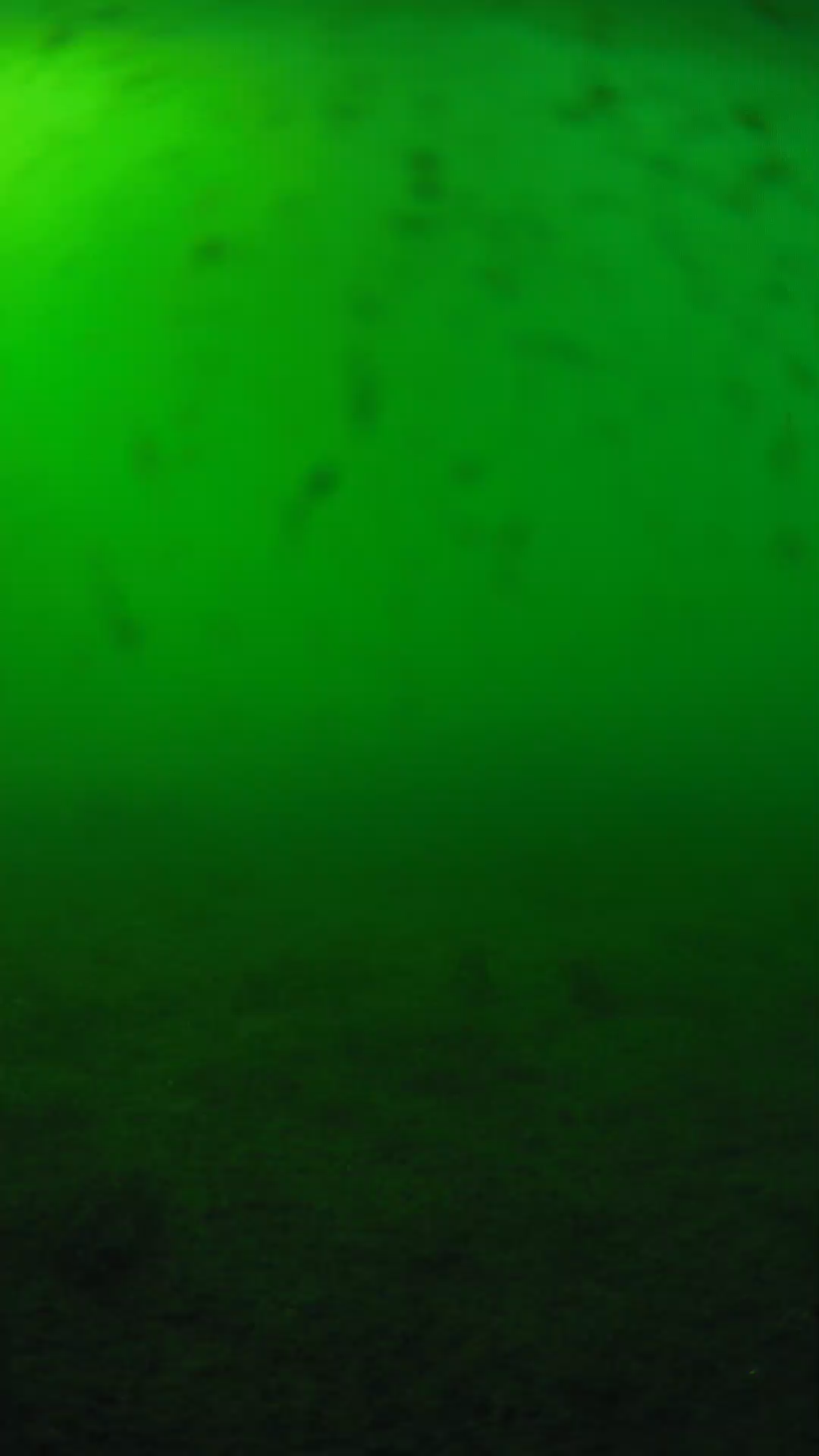lander_ipcam_20240623170558.png