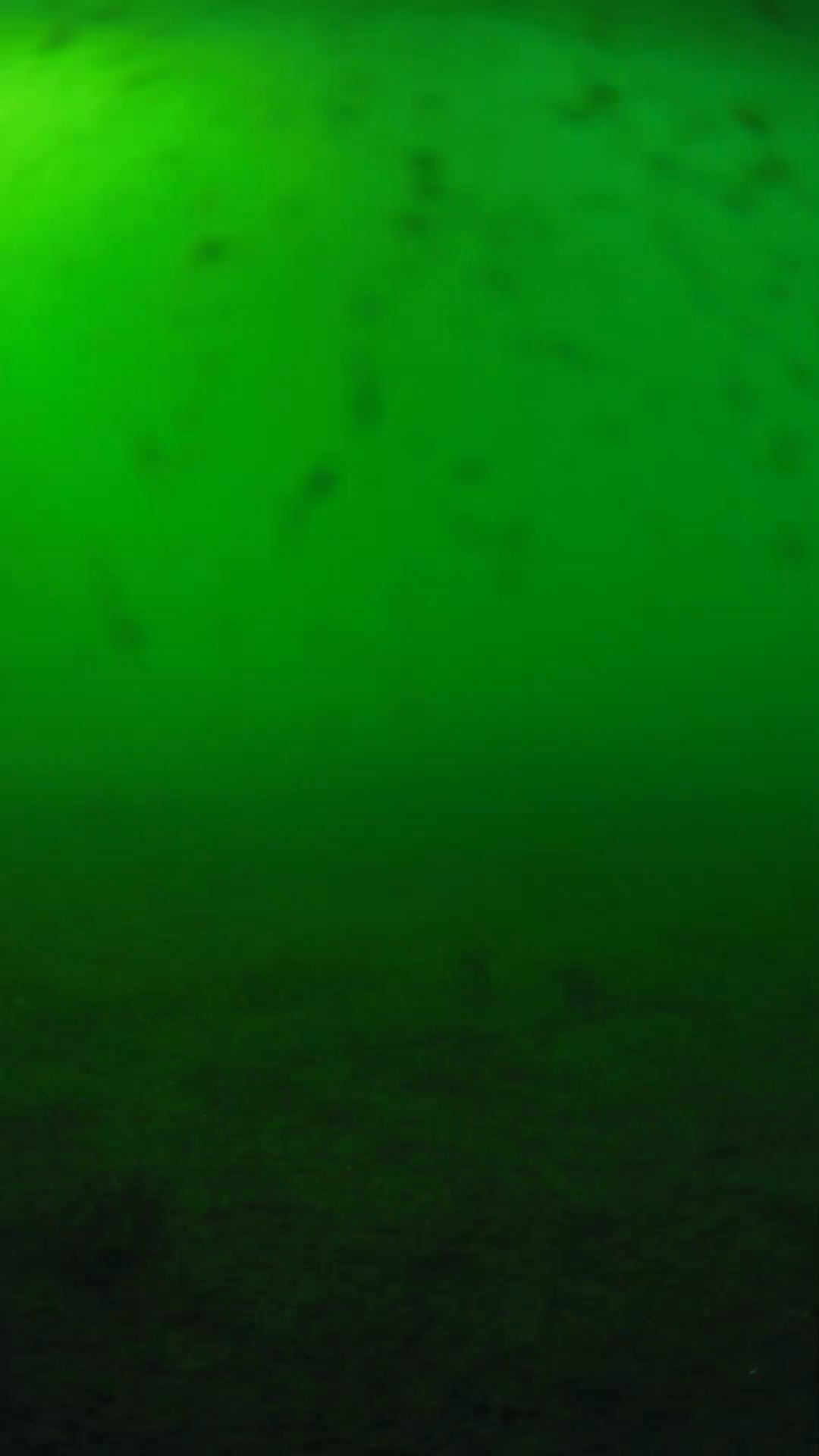 lander_ipcam_20240623170602.png