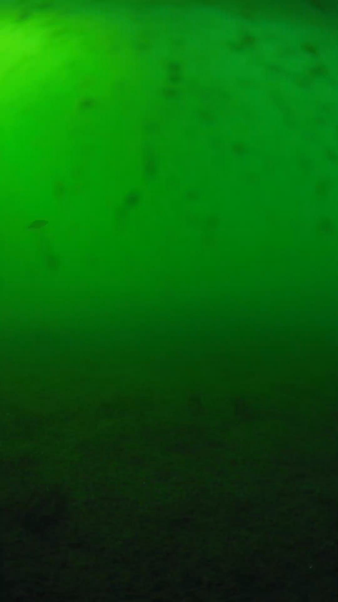 lander_ipcam_20240623170605.png