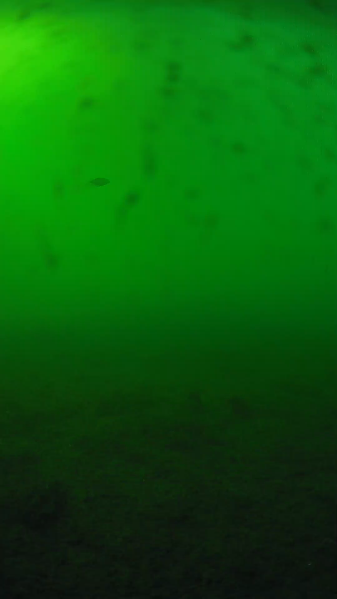 lander_ipcam_20240623170608.png