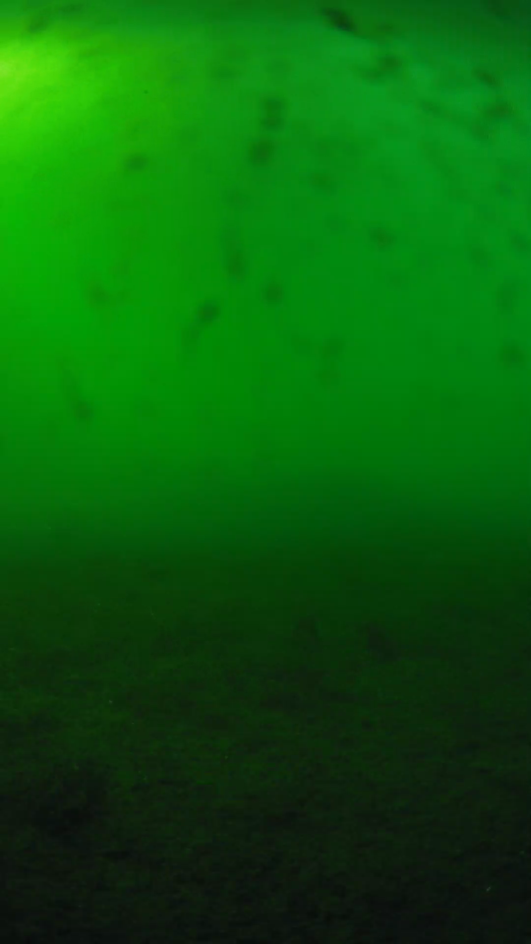 lander_ipcam_20240623173539.png