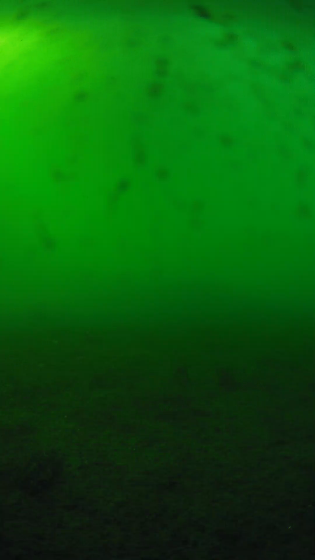 lander_ipcam_20240623173540.png