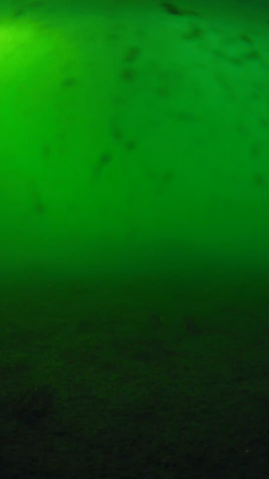 lander_ipcam_20240623173541.png