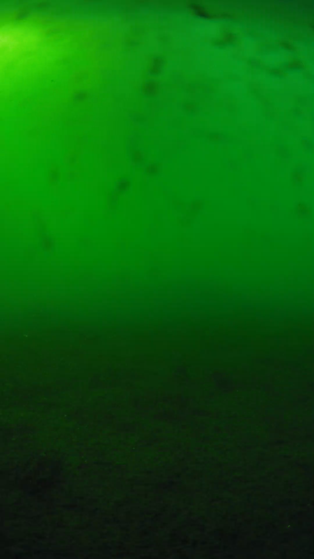 lander_ipcam_20240623173542.png