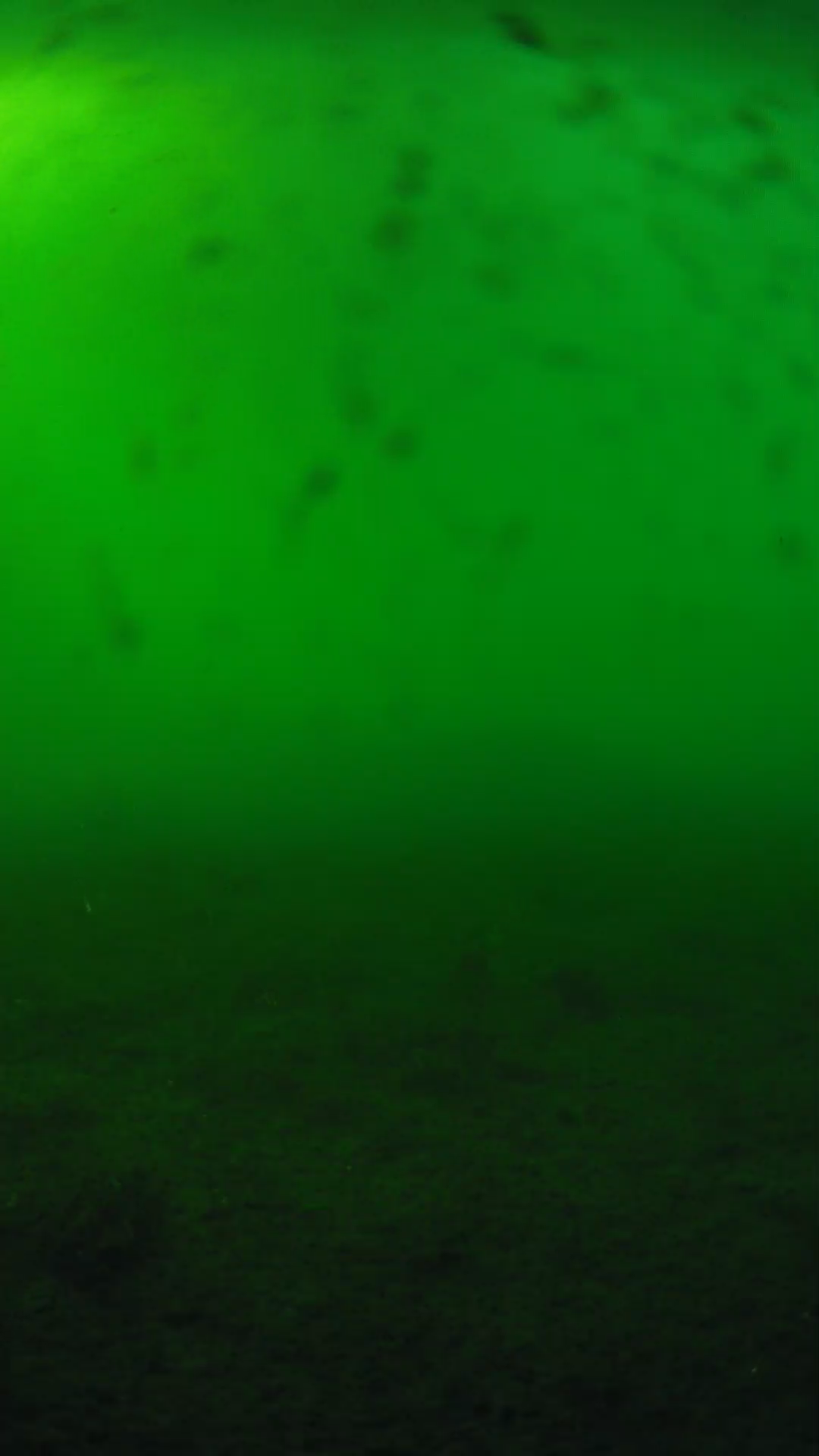 lander_ipcam_20240623173543.png