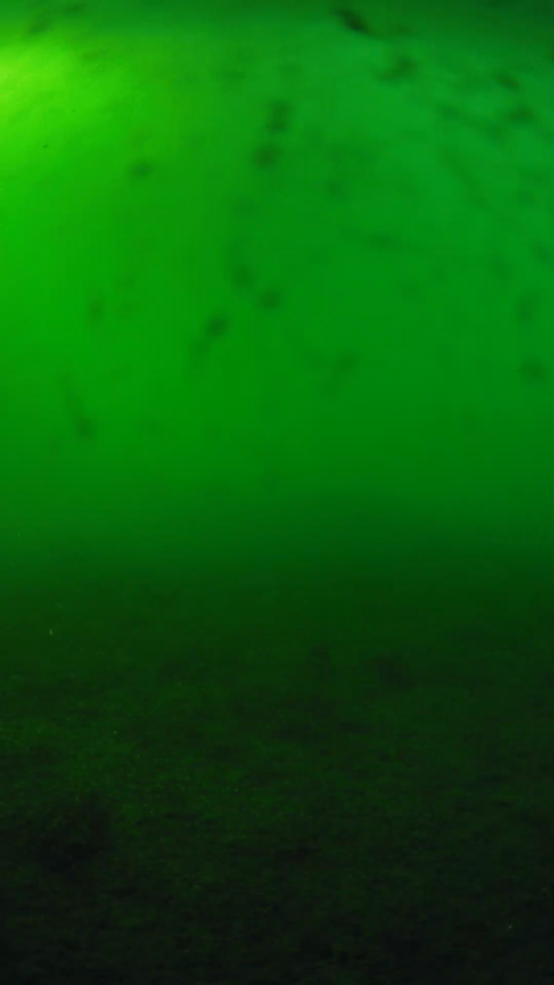 lander_ipcam_20240623173544.png