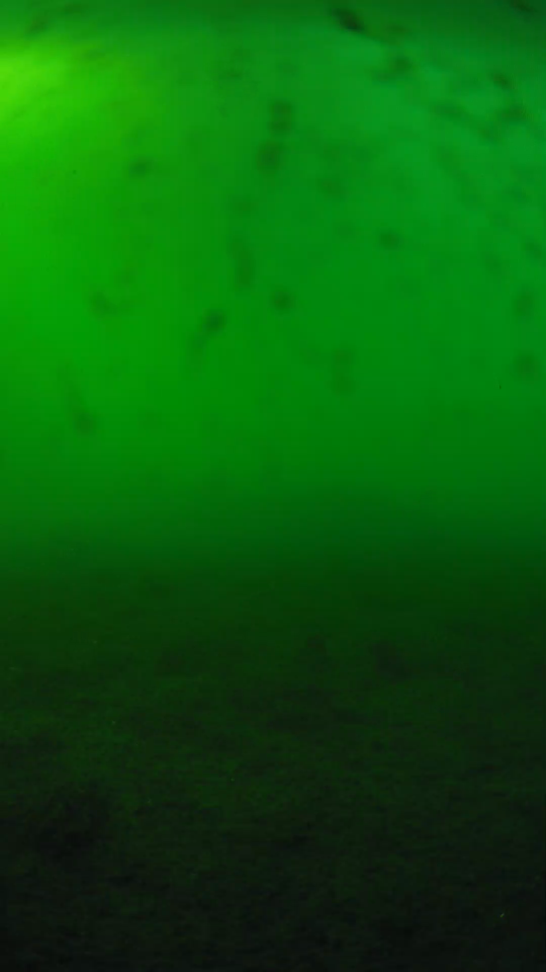 lander_ipcam_20240623173546.png