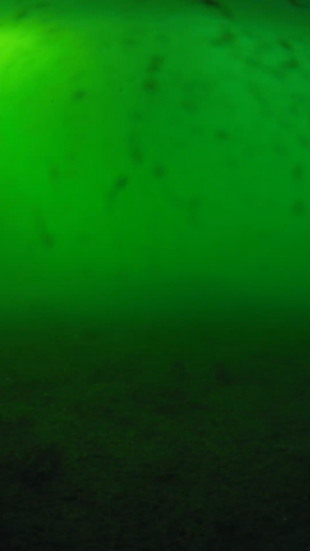 lander_ipcam_20240623173547.png
