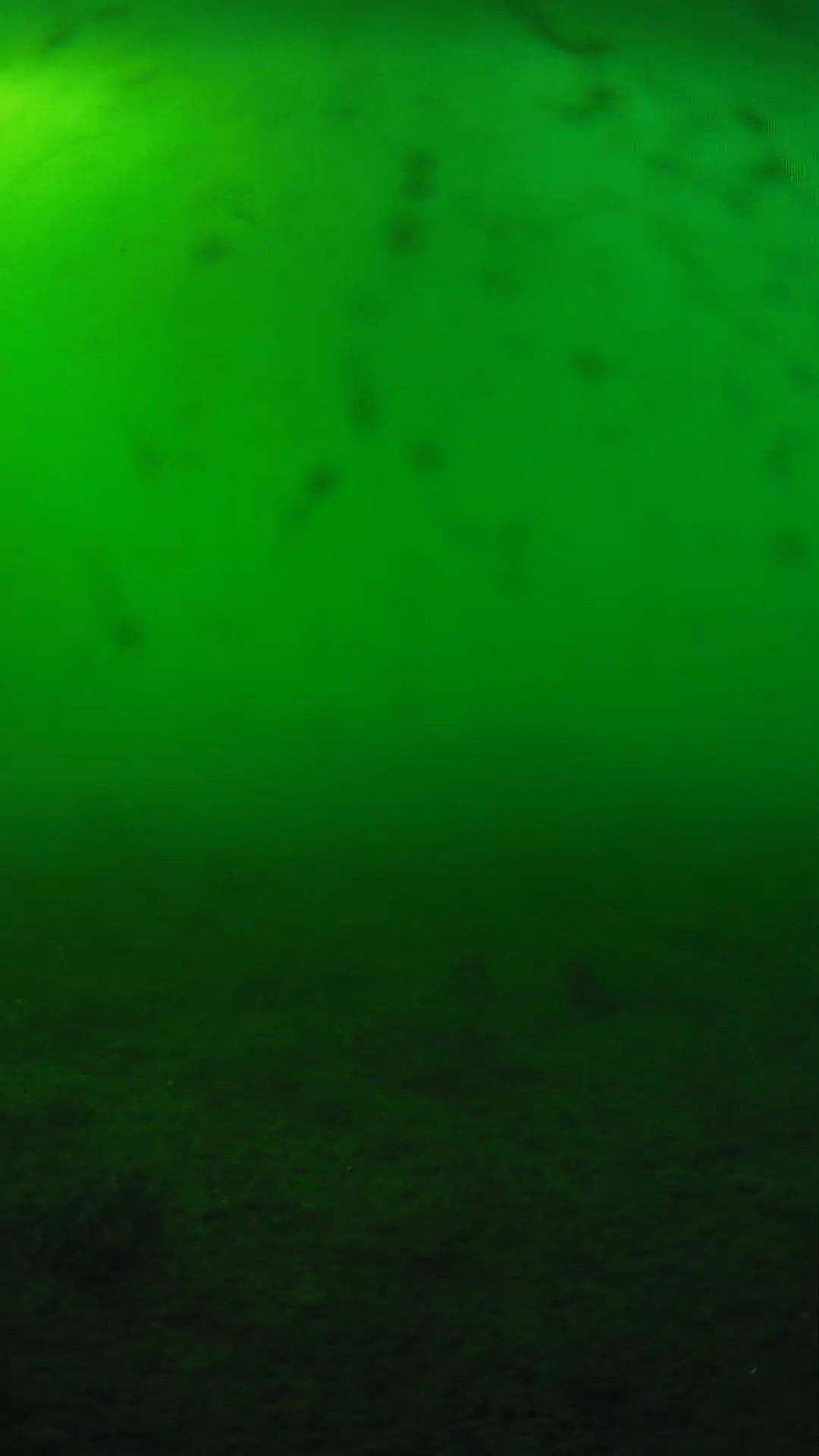 lander_ipcam_20240623173548.png