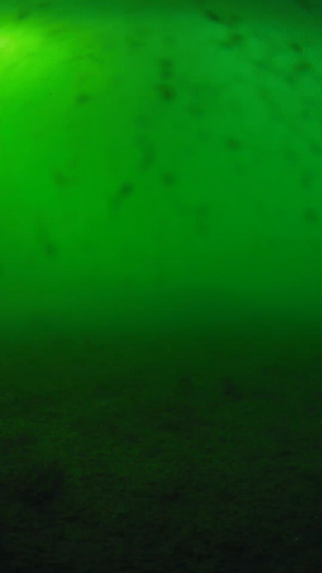 lander_ipcam_20240623173549.png