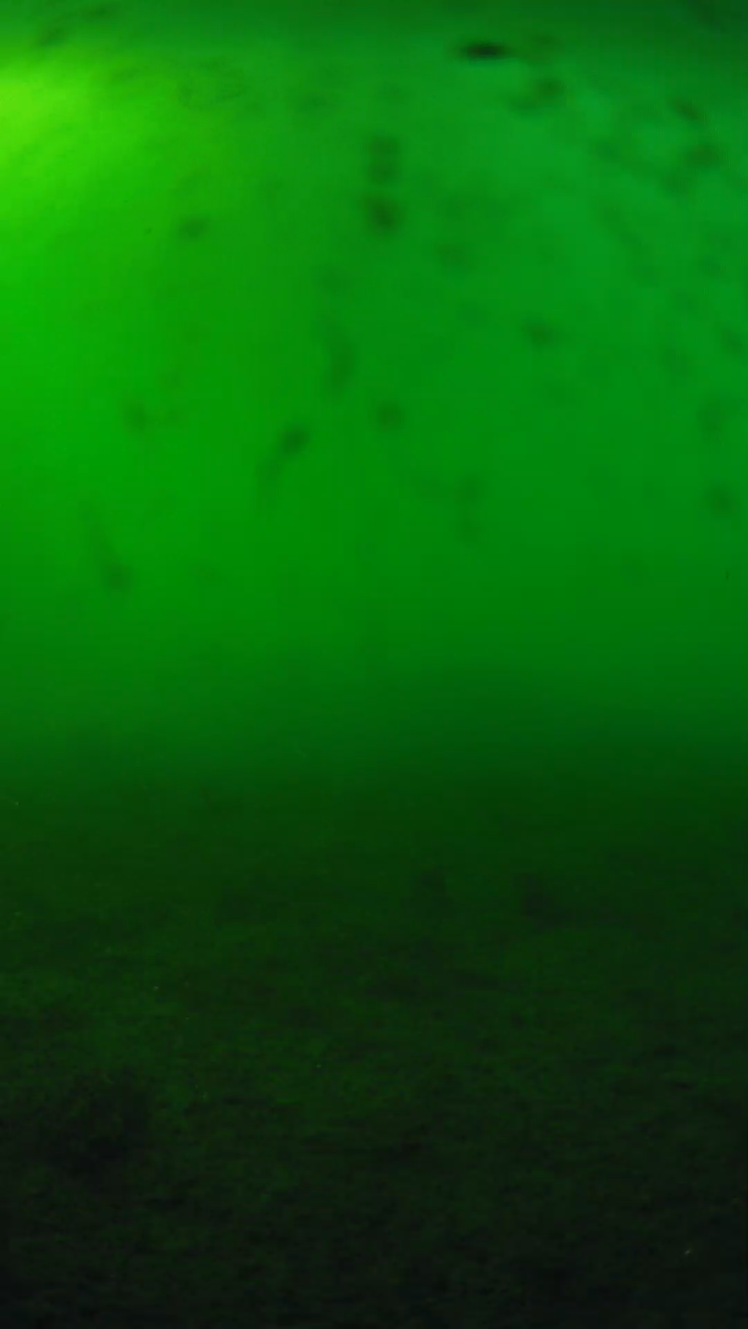 lander_ipcam_20240623173550.png
