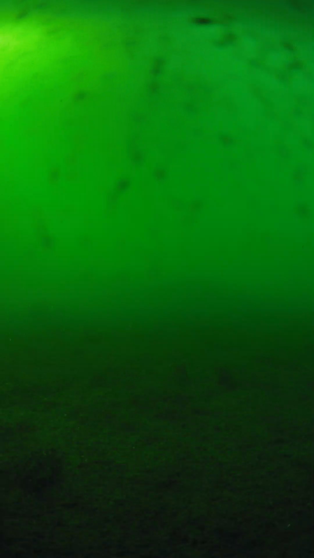 lander_ipcam_20240623173551.png